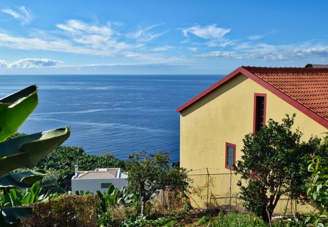 Estudio en Ponta do Sol - Vista Mar, a Home in Madeira
