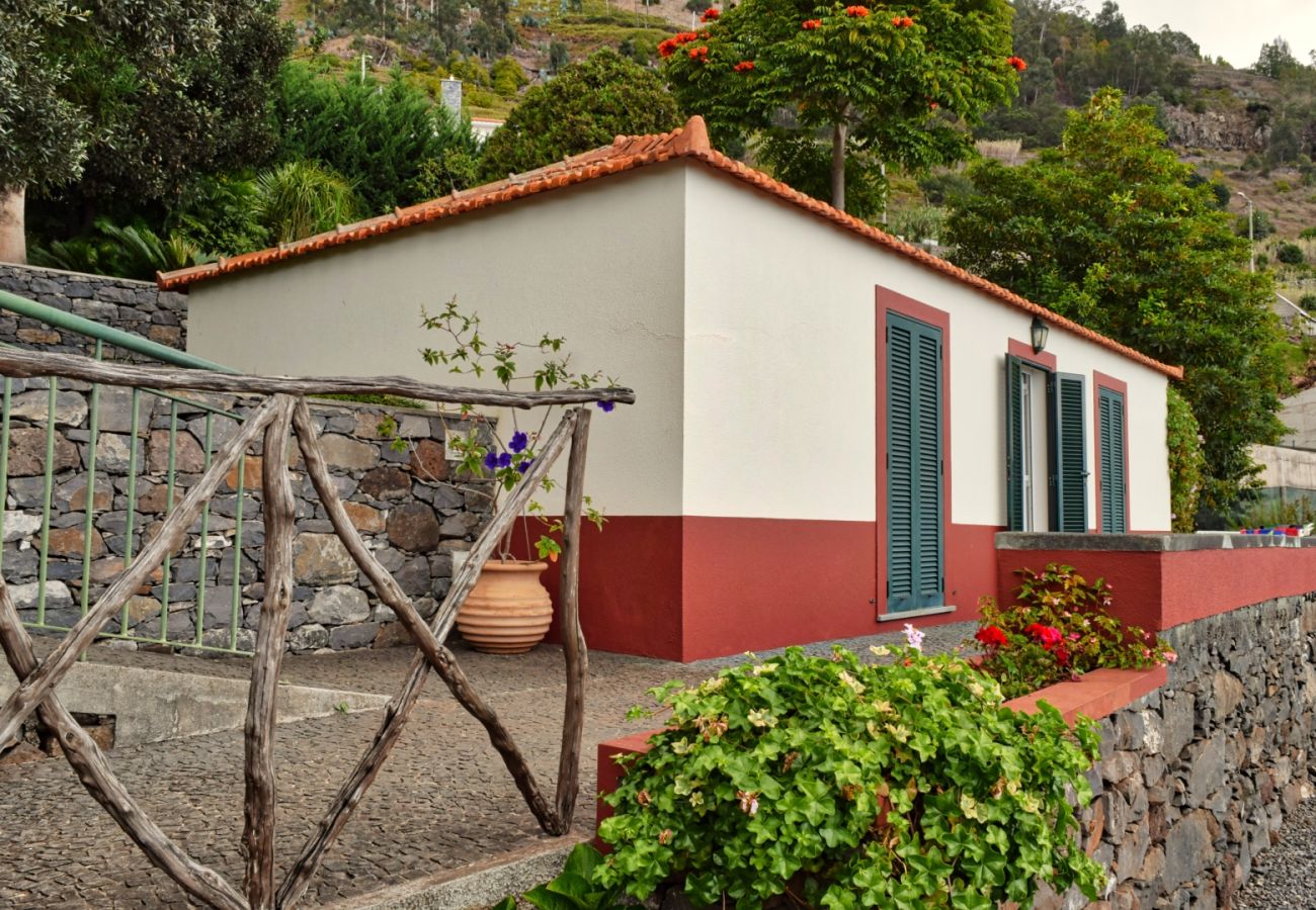 Estudio en Arco da Calheta - Cicas Studio, a Home in Madeira