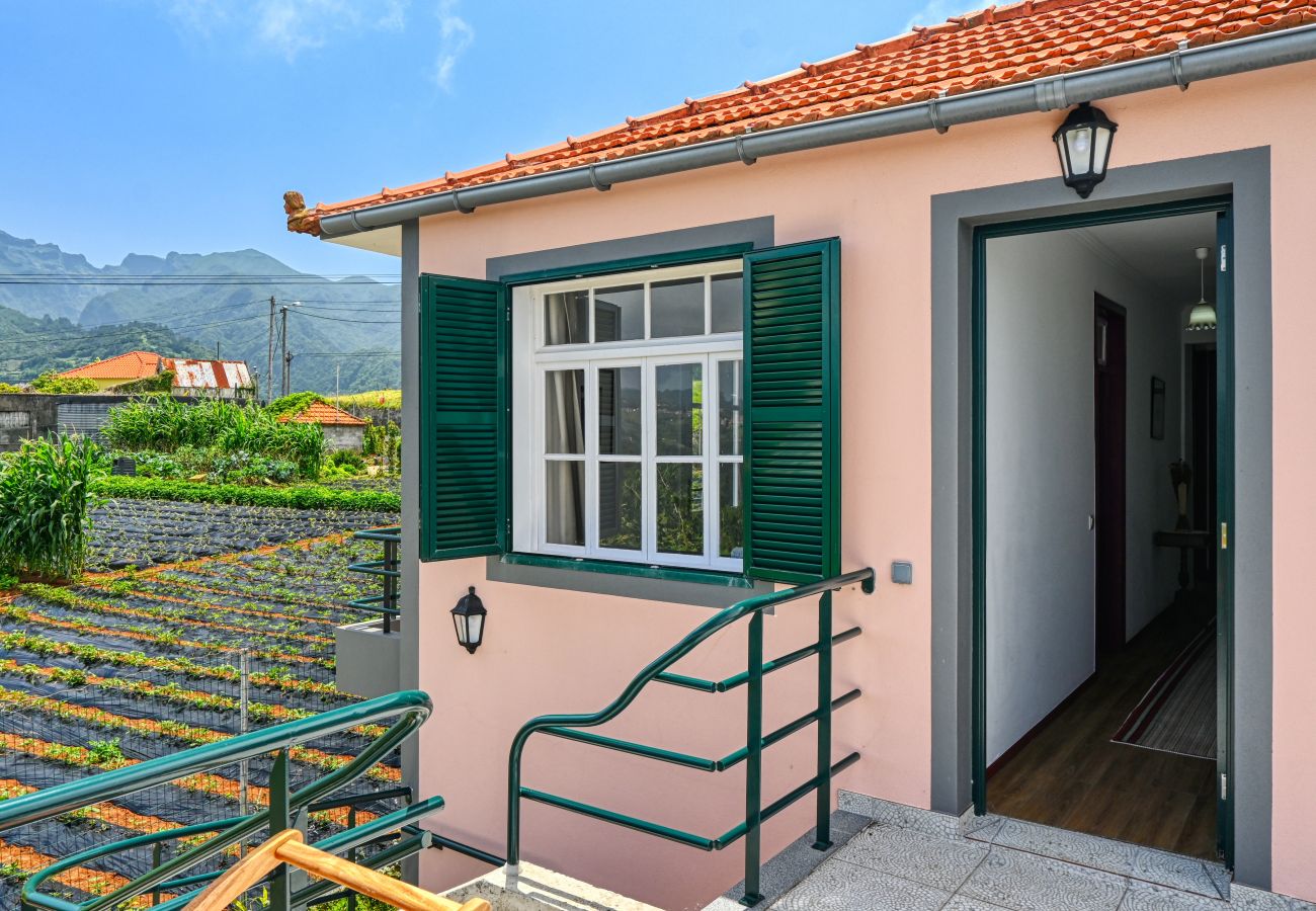 Casa rural en São Jorge - Os Ferreirinhos, a Home in Madeira