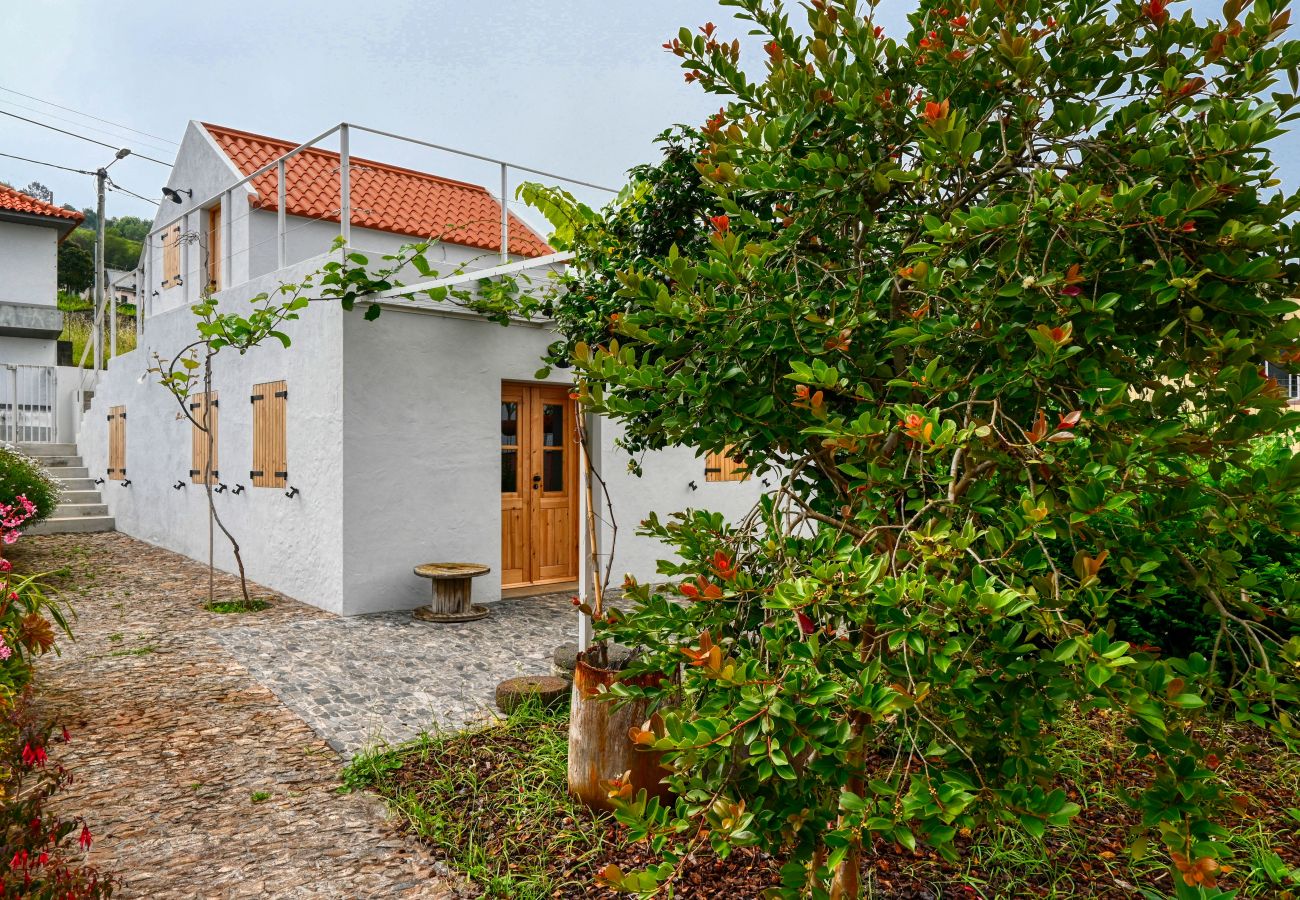 Casa rural en São Jorge - O Lagar do Avô, a Home in Madeira