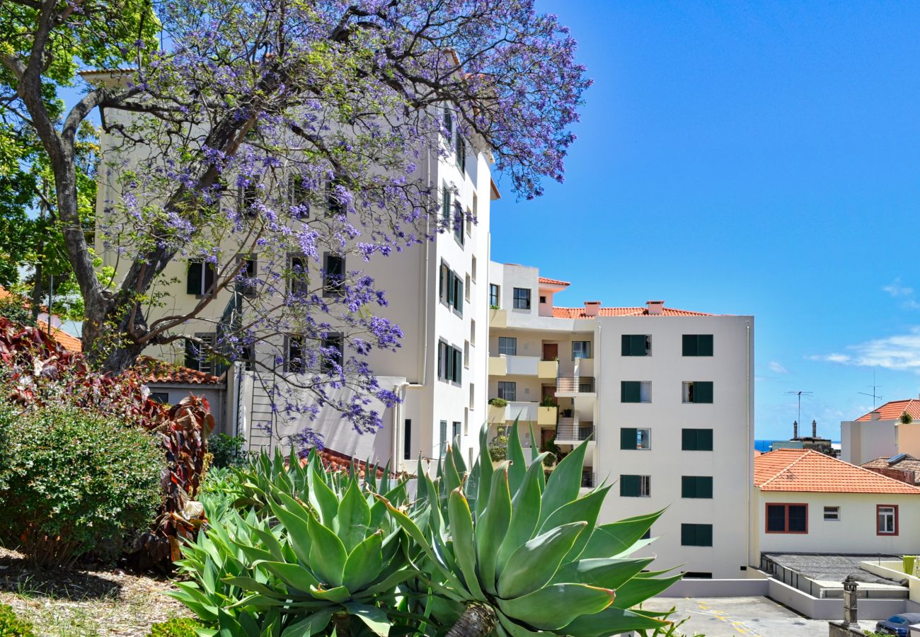Apartamento em Funchal - Encarnação Apartment, a Home in Madeira