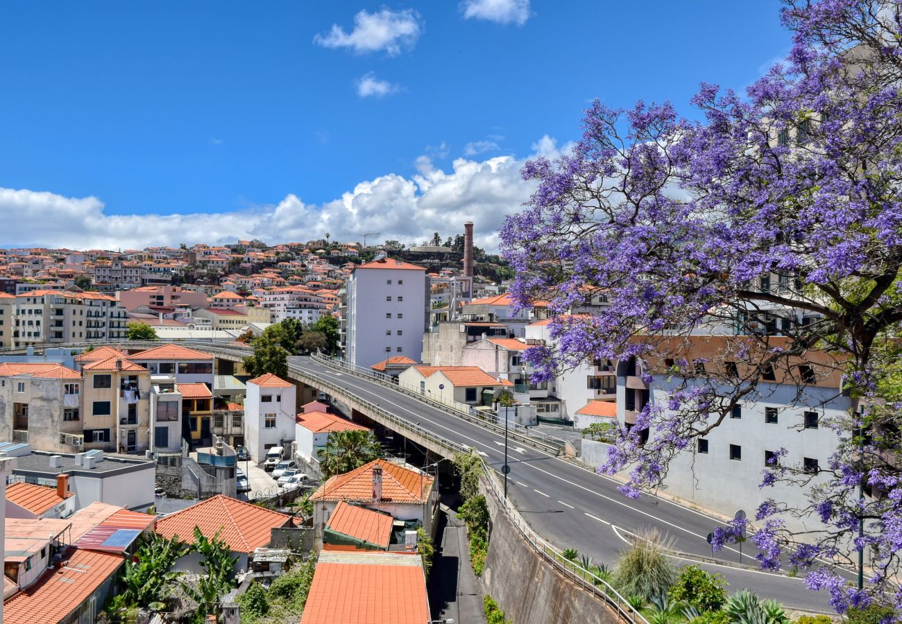 Apartamento em Funchal - Encarnação Apartment, a Home in Madeira