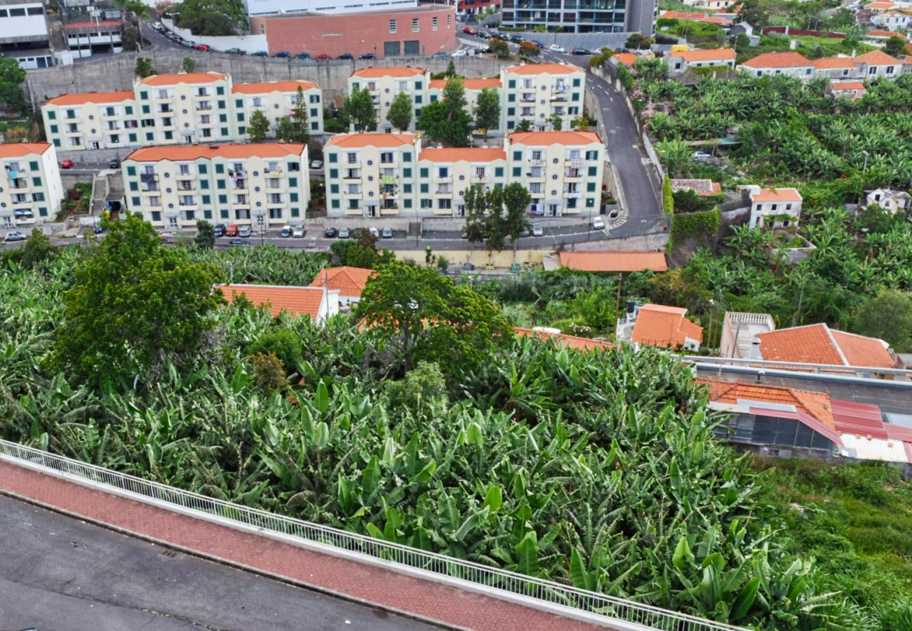 Apartamento em Funchal - Design Gardens, a Home in Madeira