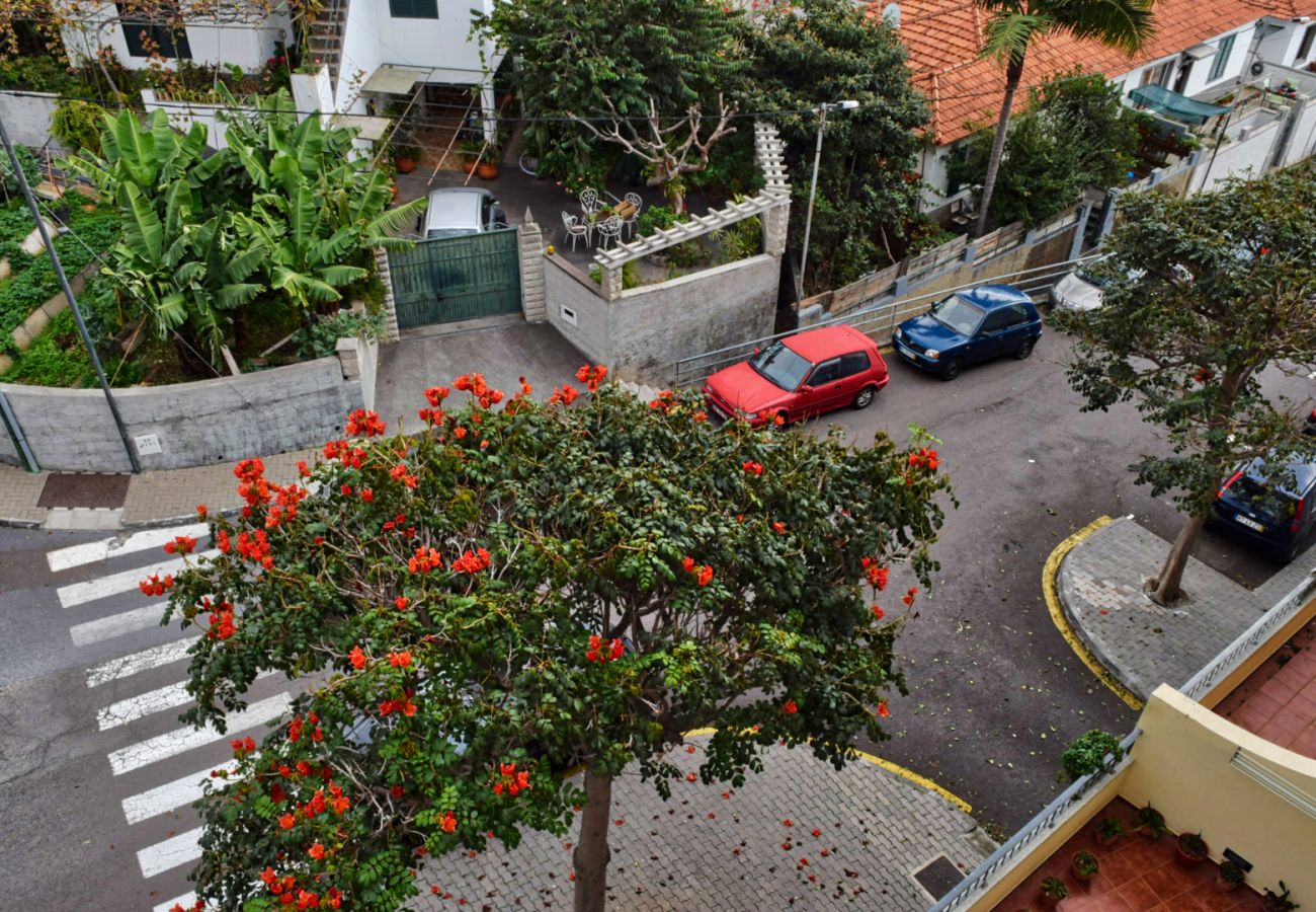 Apartamento em Funchal - Pérola, a Home in Madeira