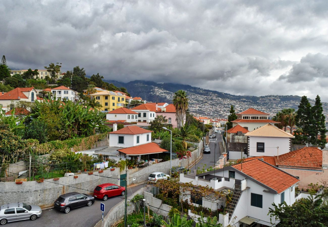 Apartamento em Funchal - Pérola, a Home in Madeira