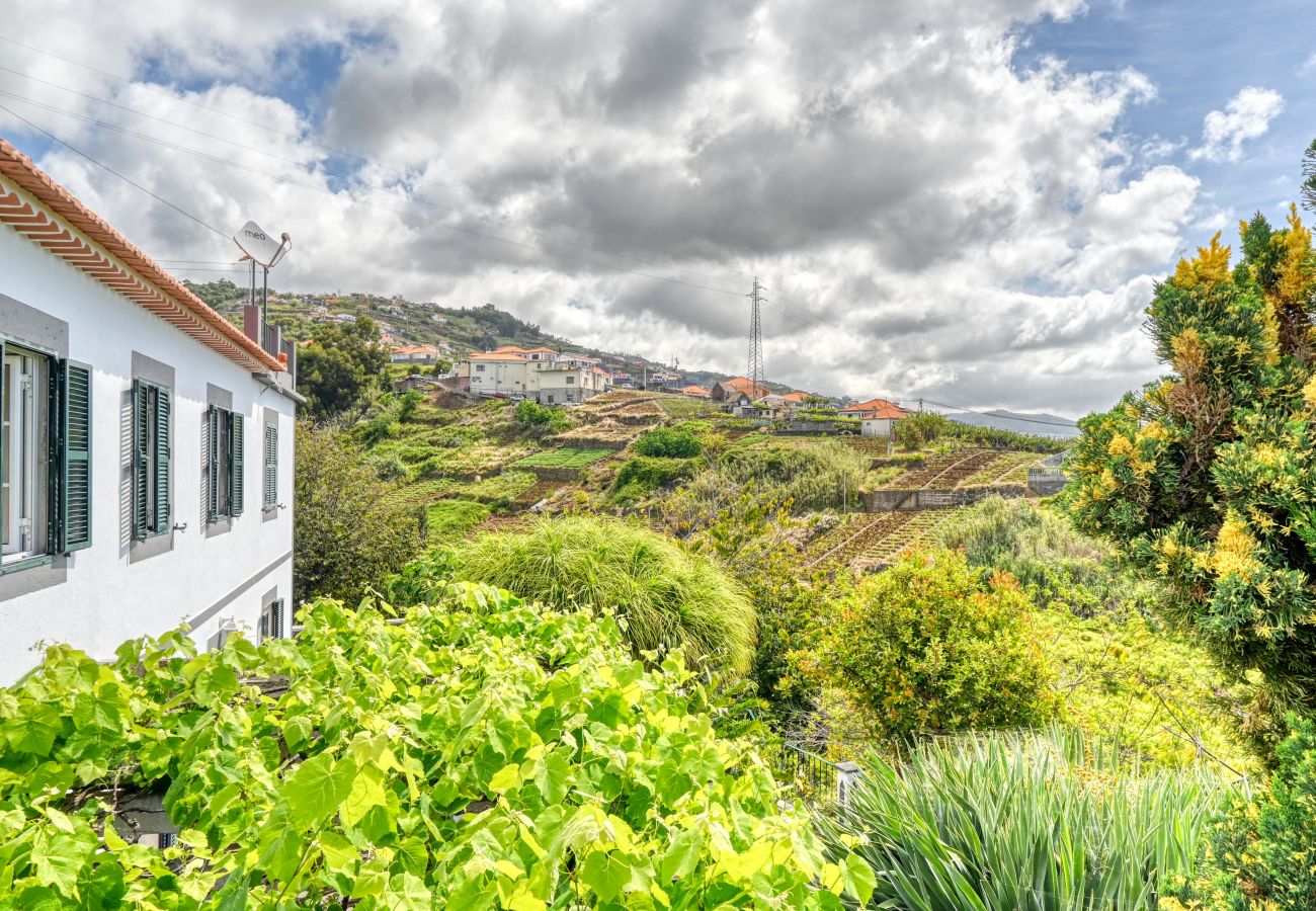 Casa rural em Ponta do Sol - Casa de Ponte, a Home in Madeira