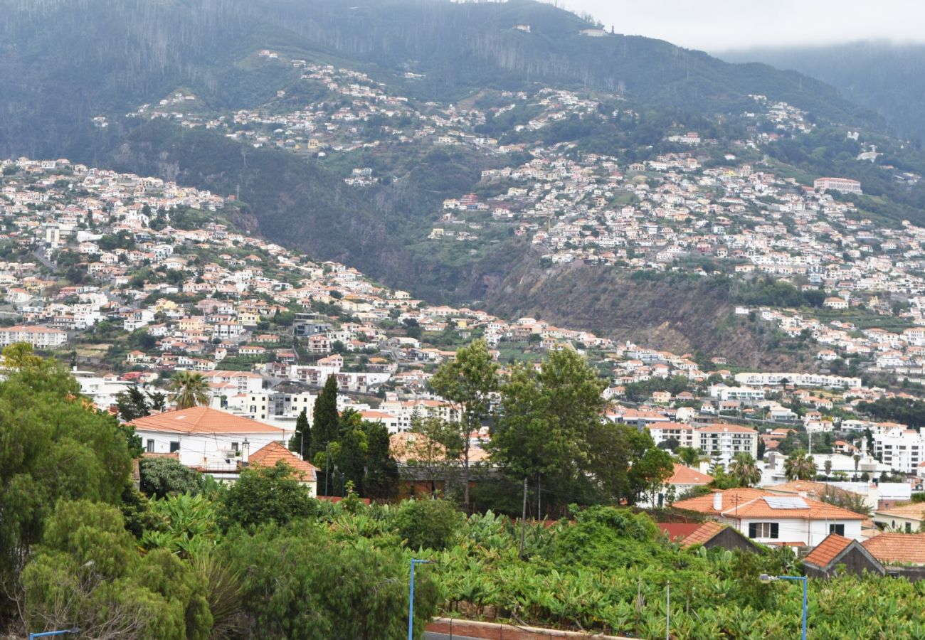 Apartment in Funchal - São Martinho, a Home in Madeira