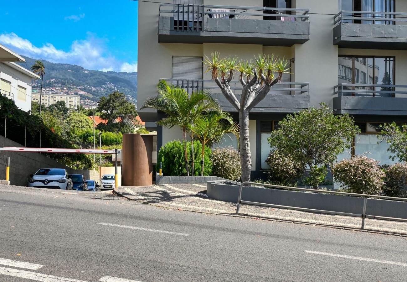 Apartment in Funchal - Magnólia, a Home in Madeira